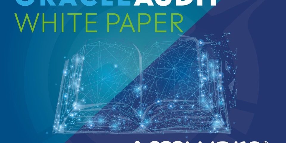 Oracle Audit White Paper