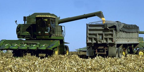 Colheita de oráculos Colheita de oráculos