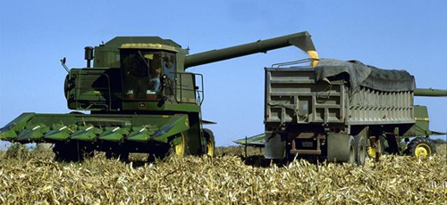 オラクルの収穫